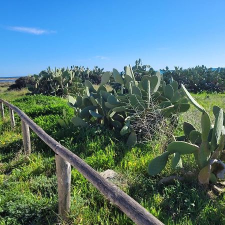 Appartamento Demetrio 50M Mare & Shopping Lido Marini Esterno foto